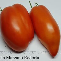 San Marzano Redorta